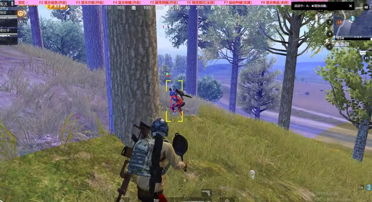 和平精英《火锅》辅助